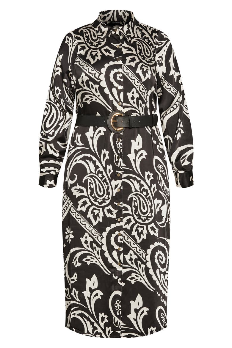 Sienna Paisley Print Long Sleeve Shirtdress, Alternate, color, PAISLEY