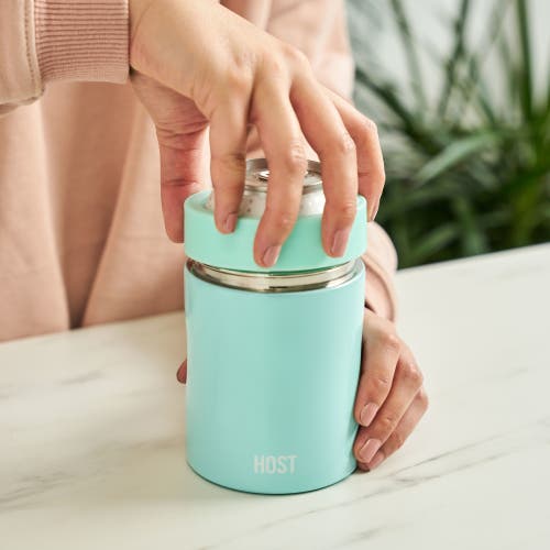 Host Stay-chill Standard Can Cooler In Seaglass
