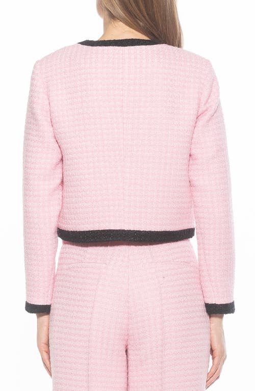 Alexia Admor Rose Tweed Jacket In Pink