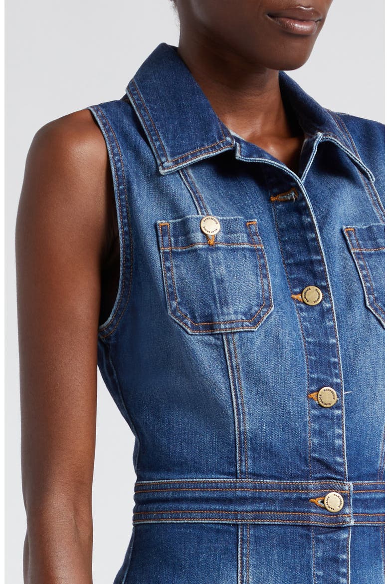 Juliet Denim Dress, Alternate, color, MEDIUM WASH