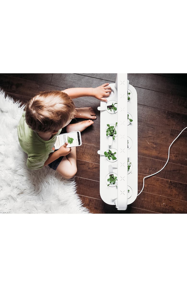 Click & Grow Smart Garden 9 Self Watering Indoor Garden, Alternate, color, 