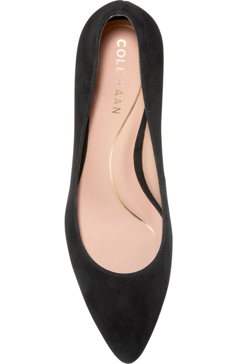 Cole Haan Cassandra Pointed Toe Pump, Alternate, color, Black Suede
