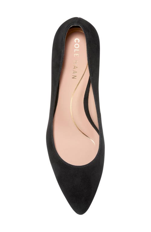 Cole Haan Cassandra Pointed Toe Pump In Black