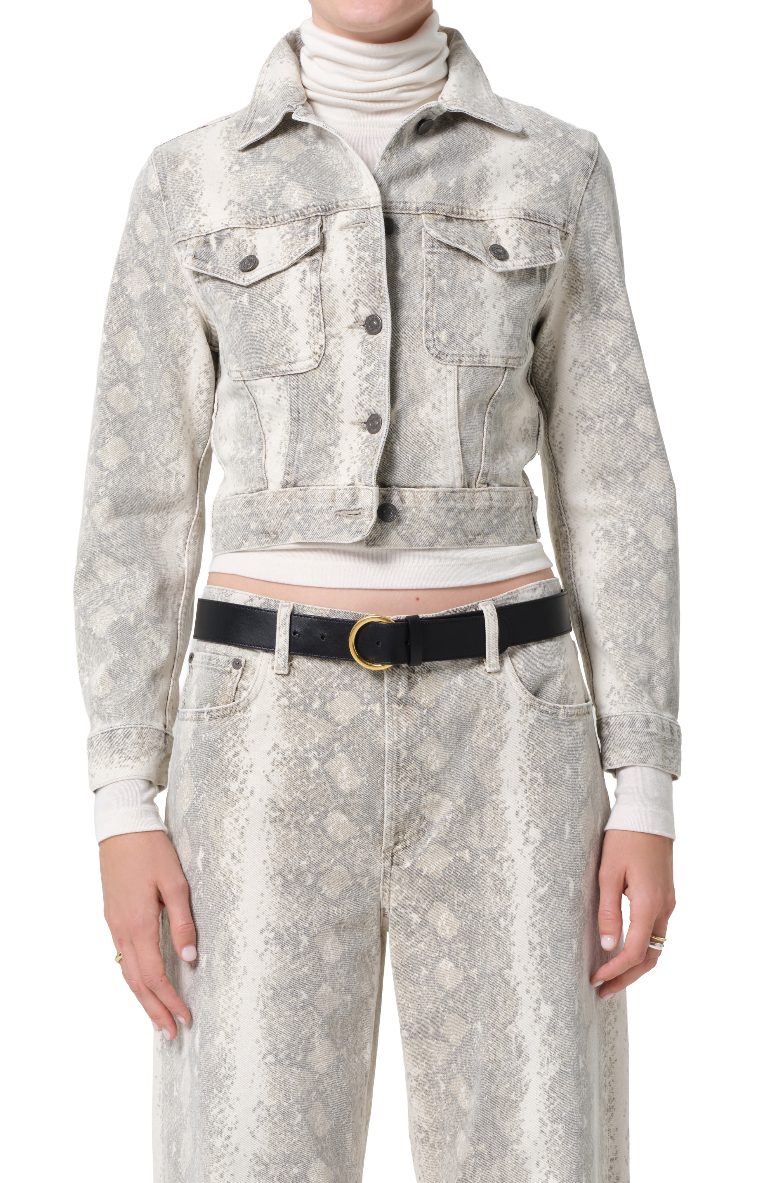 selected PYTHON SNAKE P