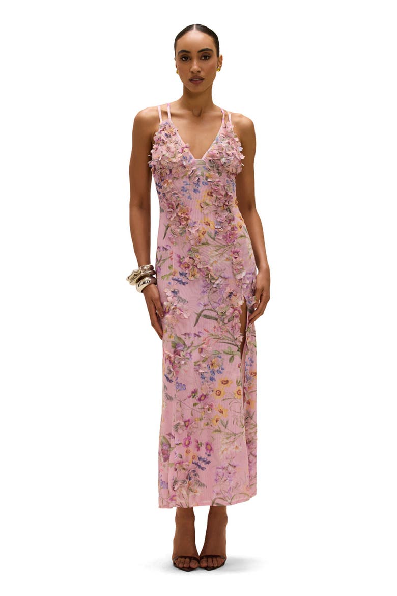 Heather Embroidered Maxi Dress, Main, color, PINK