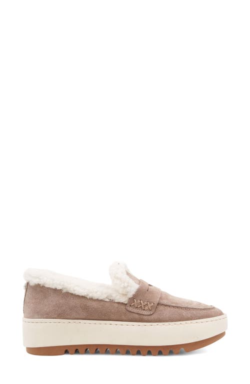 Aquatalia Ameila Genuine Shearling Lined Penny Loafer In Neutral