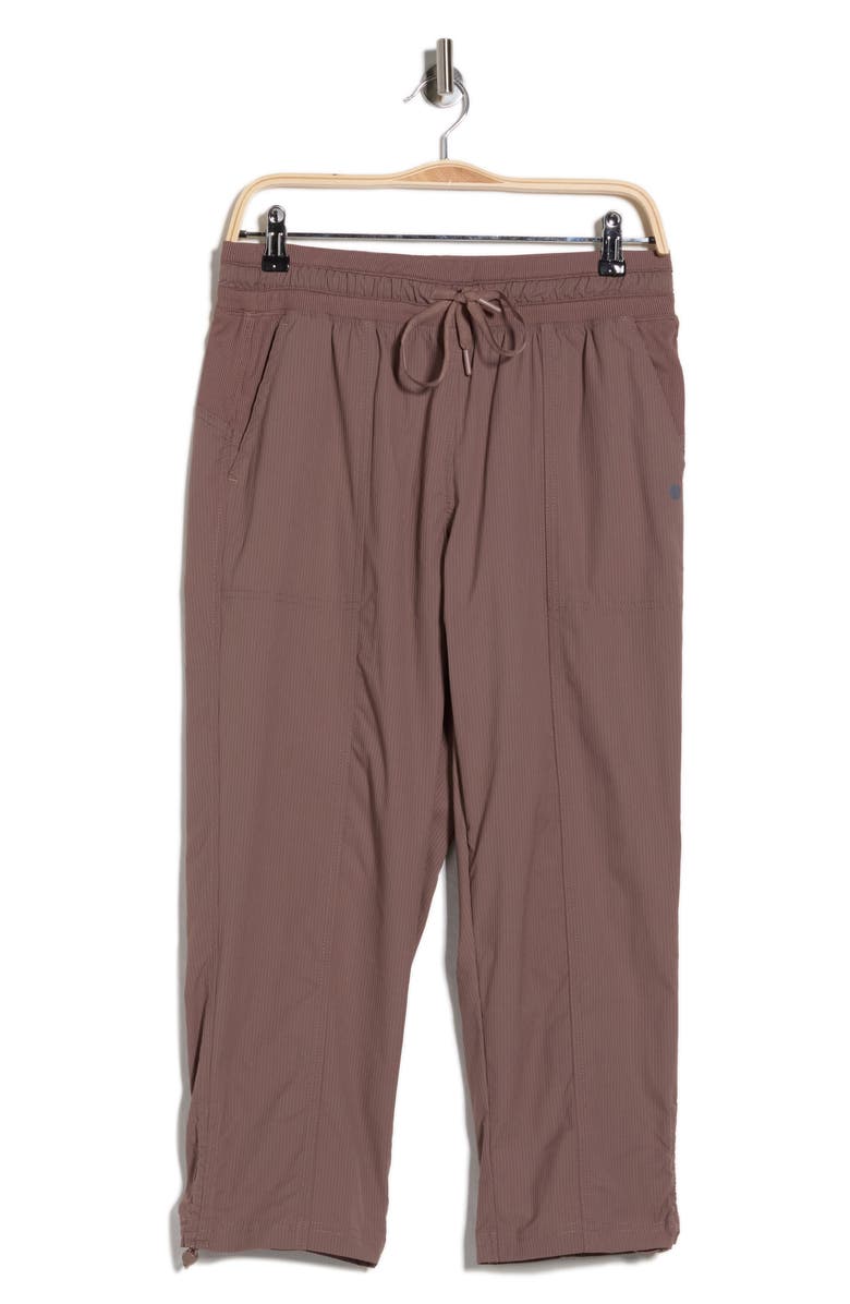 APANA Laguna Convertible Pants, Alternate, color, Deep Taupe