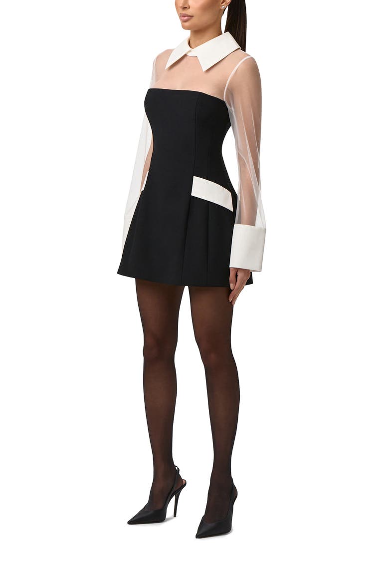 Sheer Panel Long Sleeve Minidress, Alternate, color, BLACK/ WHITE
