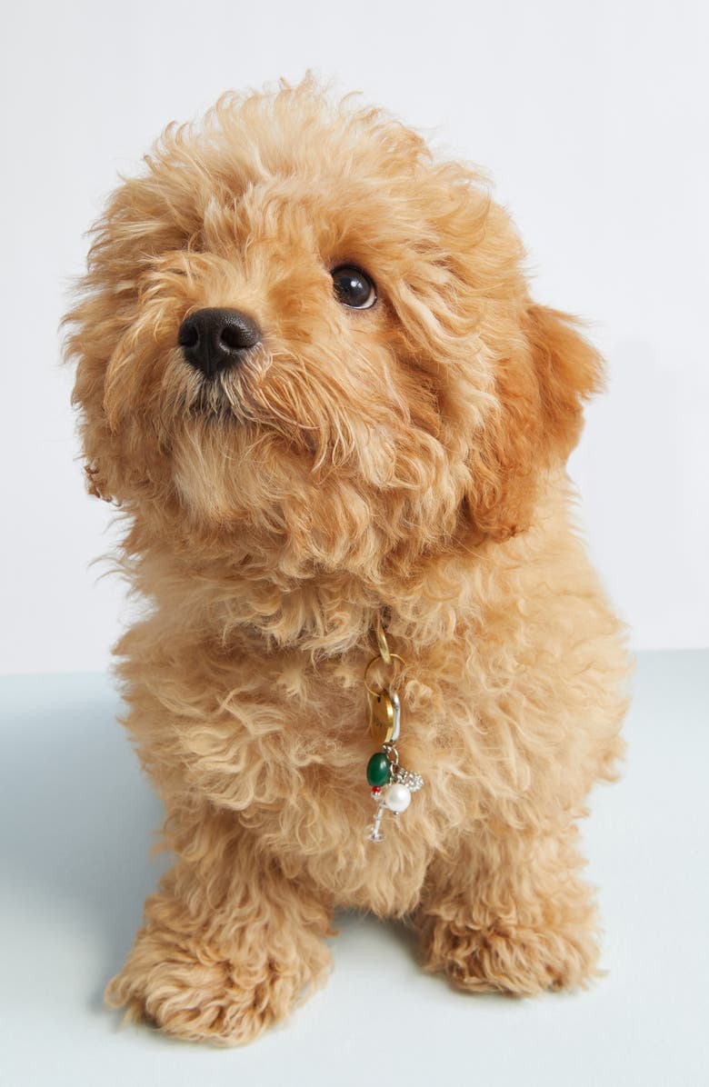 ossa Martini Pet Collar Charm, Alternate, color, Martini