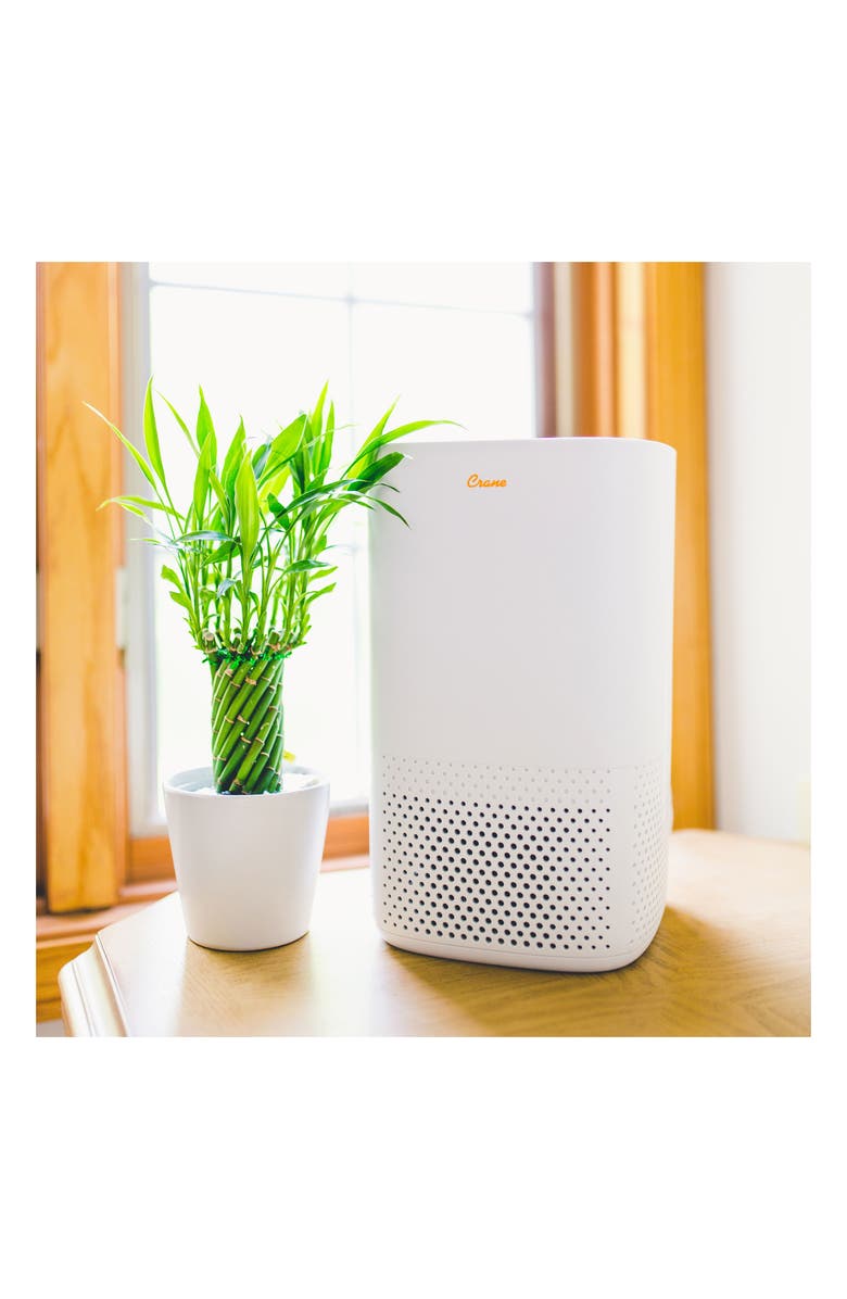 Crane Air True HEPA Air Purifier, Alternate, color, White