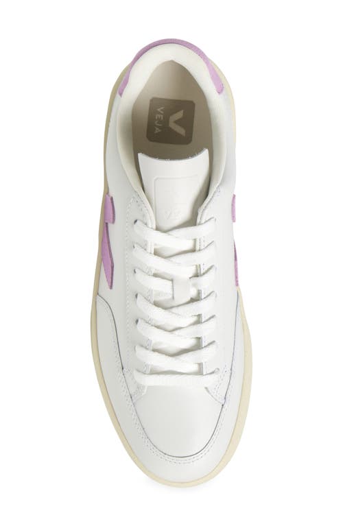 Veja Ferragamo Caramel Leather Reversible Belt In White