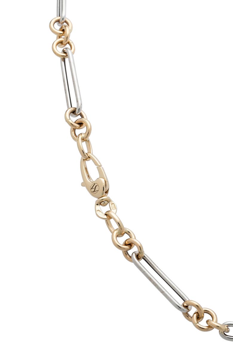 Stephanie Windsor Trombone Link Chain Necklace, Alternate, color, 