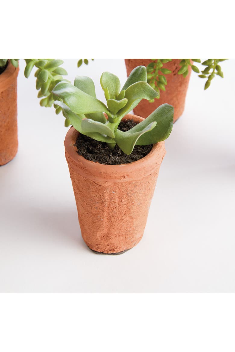 Potted Green Ceramic Succulents 8.5" Set of 6, Alternate, color, Green