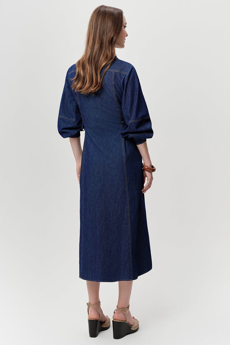 Arnaude Side Tie Long Sleeve Midi Dress, Alternate, color, Blue