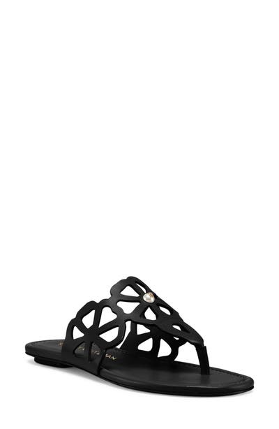 style board product image