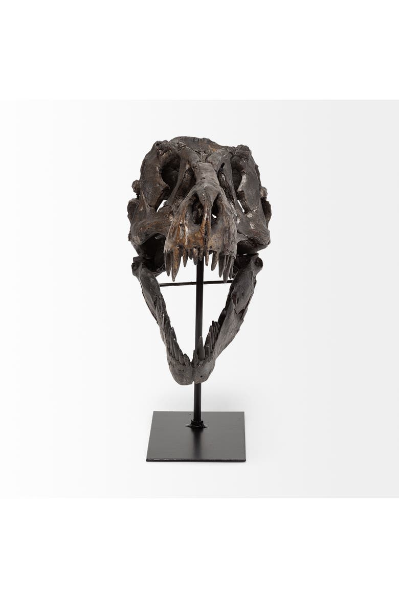 Jurassic Resin Dinosaur Skull Replica, Alternate, color, Brown