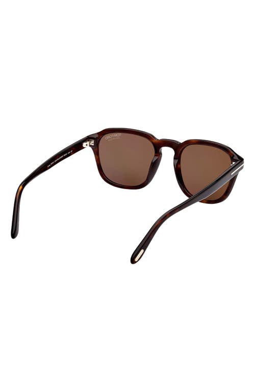 Tom Ford Avery 52mm Polarized Round Sunglasses