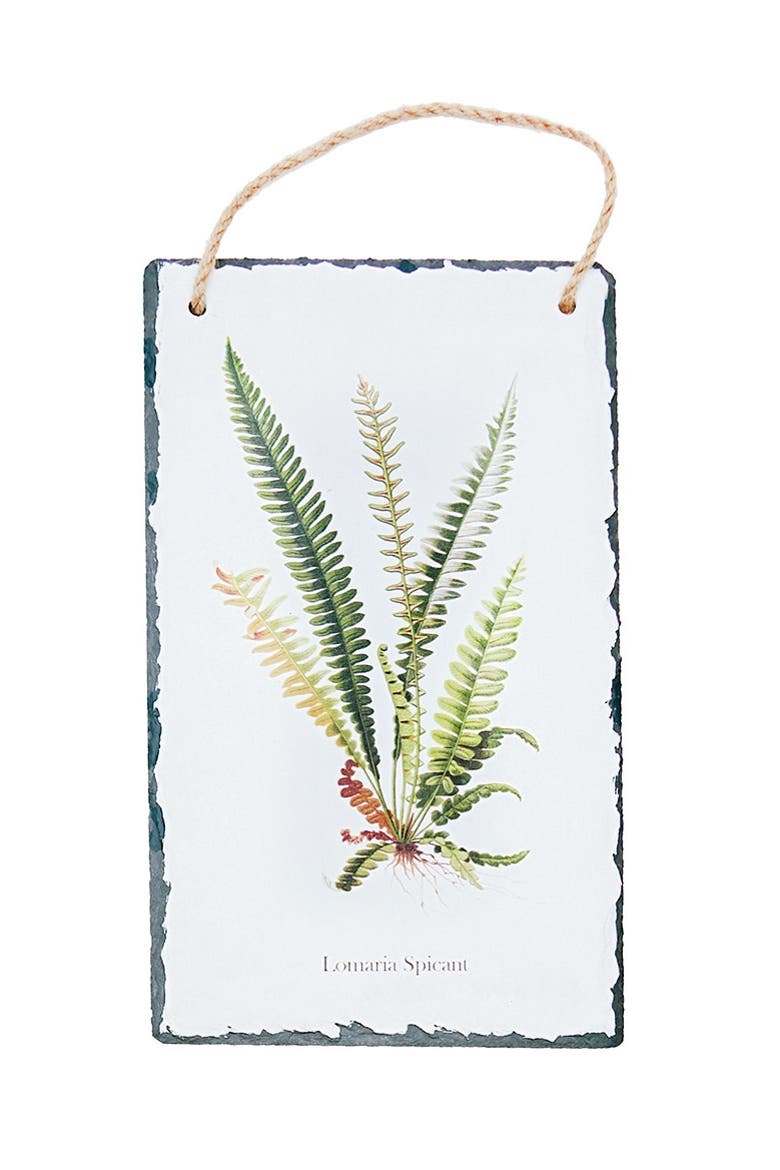 Fern Slate Hanging Assortment of 4 Wall Art Signs 7" x 11.75", Alternate, color, White