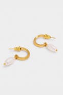 Katie Loxton Pearl Lustre Hoop Earrings in Pearl and Gold