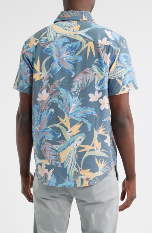 Dark Seas Ritter Button-up Shirt