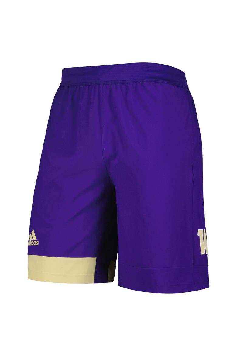 Men's adidas Purple Washington Huskies Training Shorts, Alternate, color, Purple