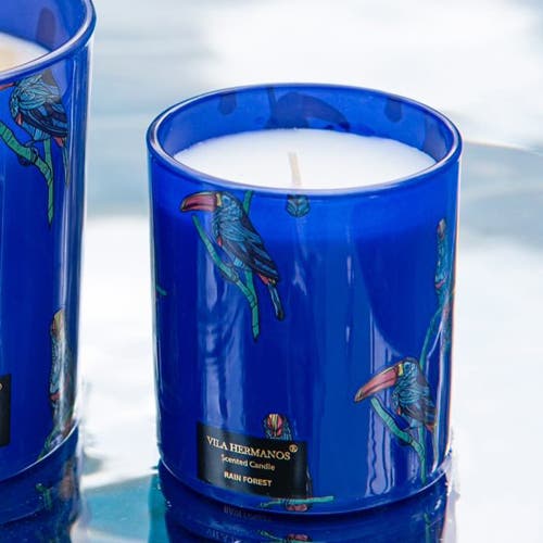 Vila Hermanos Vila Jungletropia Candle In Jar In Blue