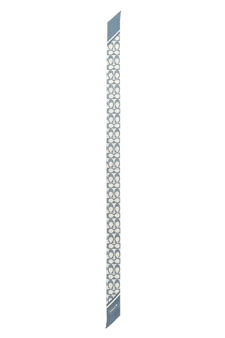 Textured Signature Print Silk Skinny Scarf, Main, color, LIGHT DENIM