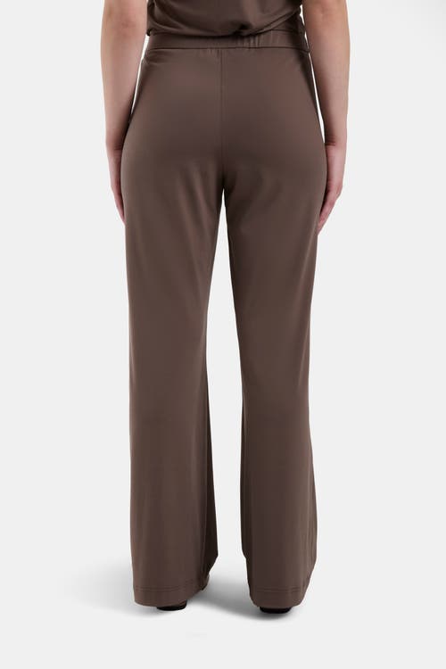 Capsule 121 The Castle Pant In Stone
