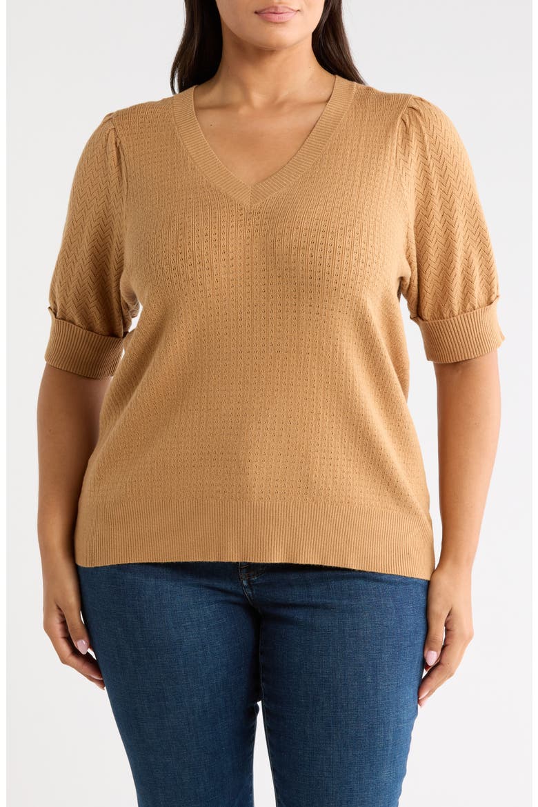 V-Neck Short Sleeve Pointelle Sweater, Main, color, P469 APPLE CINNAMON