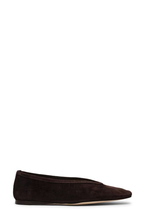 Shop Steve Madden Leni Flat In Brown Suede
