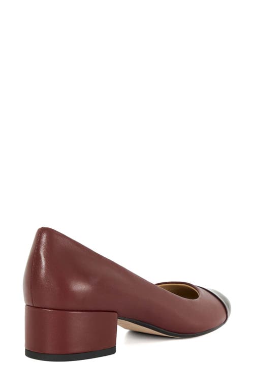 Dune London Bracket Cap Toe Pump In Burgundy
