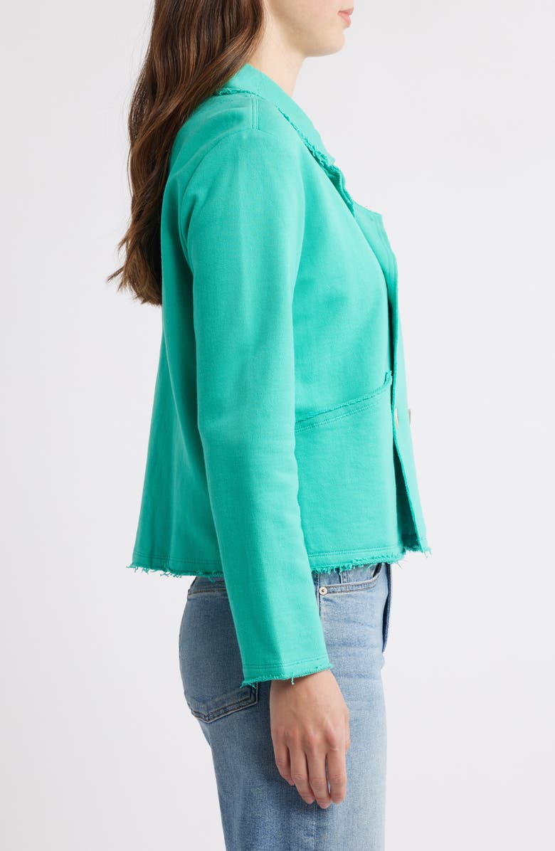 Hatley Preppy Cotton Jacket, Alternate, color, 