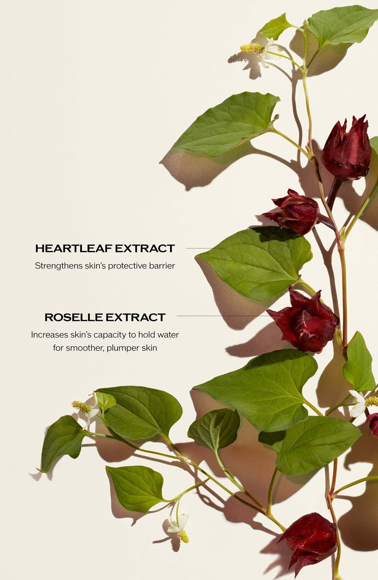 Shiseido Radiance & Resilience Ritual Set (Limited Edition) $235 Value, Alternate, color, 