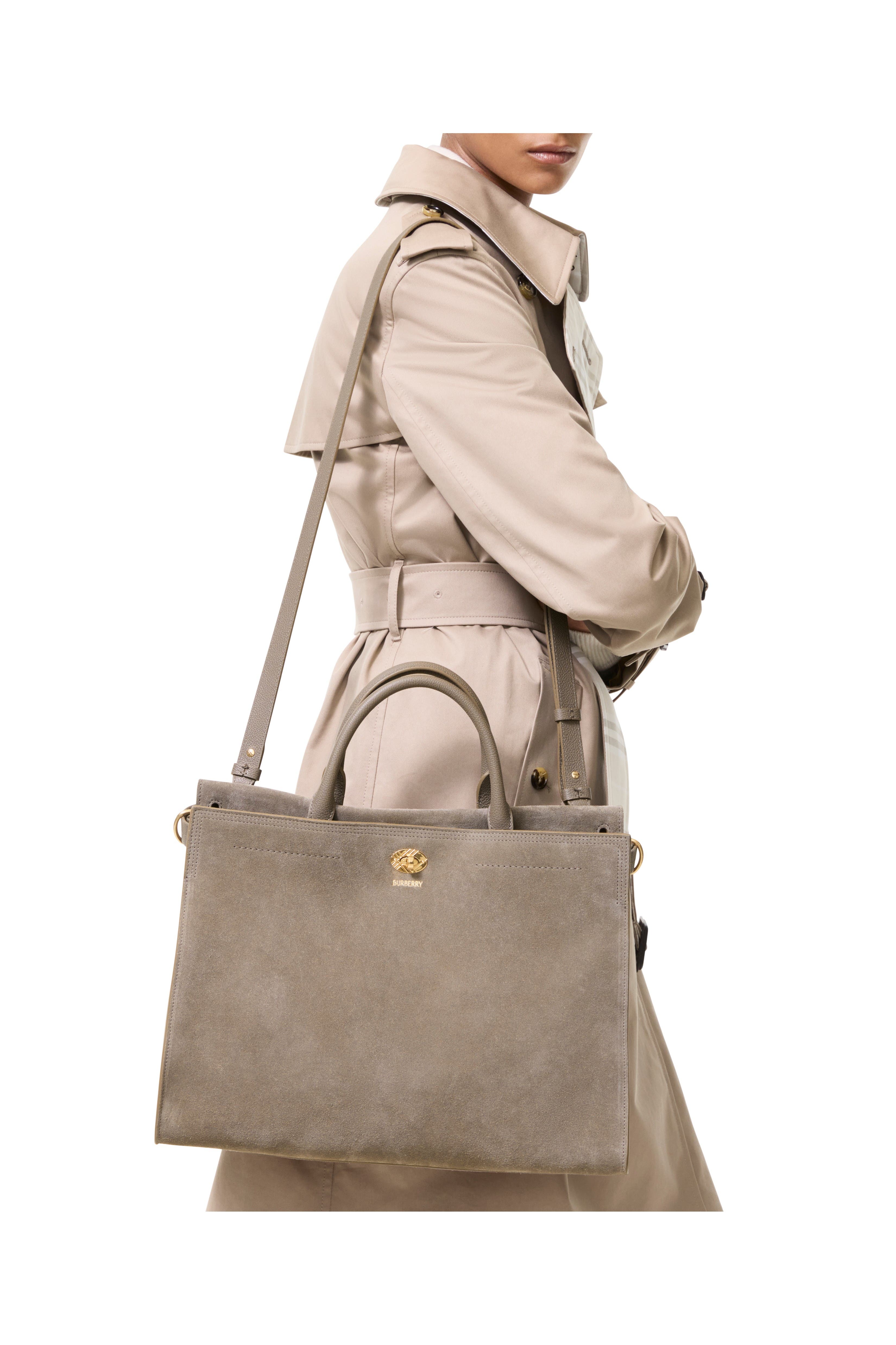 Medium Cotswolds Tote, Alternate, color, Taupe brown