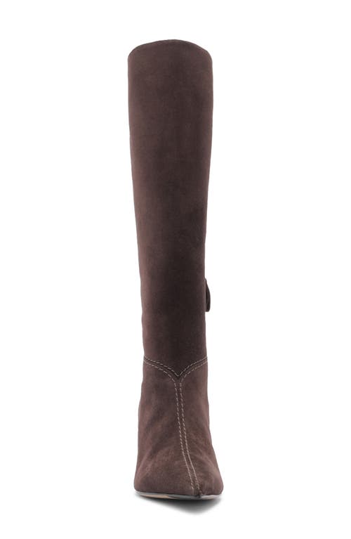 Alexandre Birman Malva Pointed Toe Knee High Boot In Brown