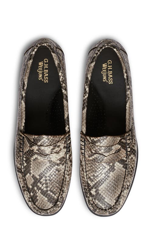 G.h.bass Whitney Easy Weejuns Loafers In Multi