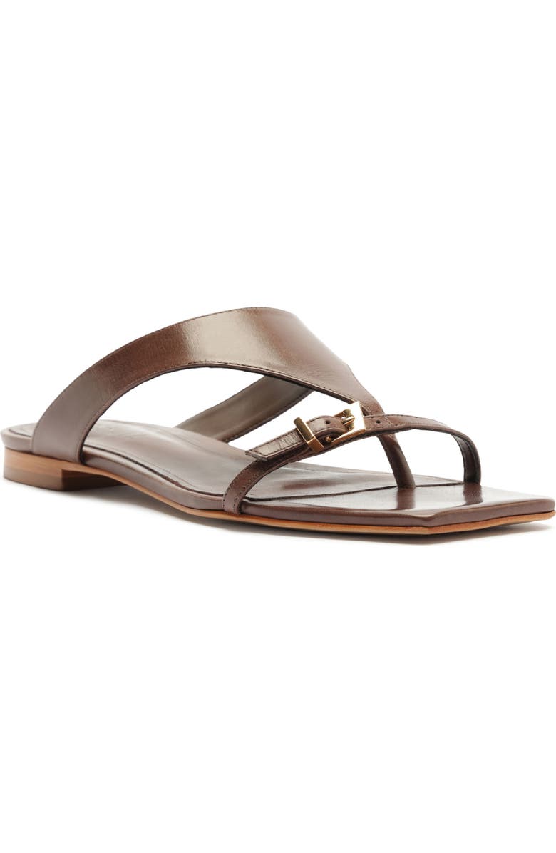 Schutz Tana Flat Flip-Flop, Main, color, Root Brown