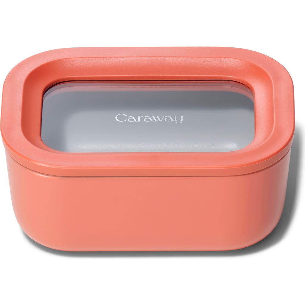 Caraway Mini Rectangle Glass Food Storage Container In Pink