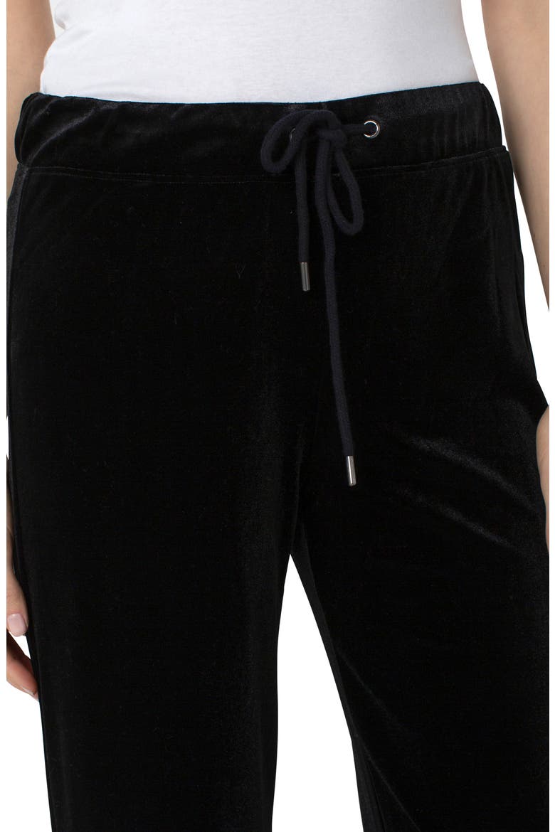 Wide Leg Velvet Pants, Alternate, color, BLACK
