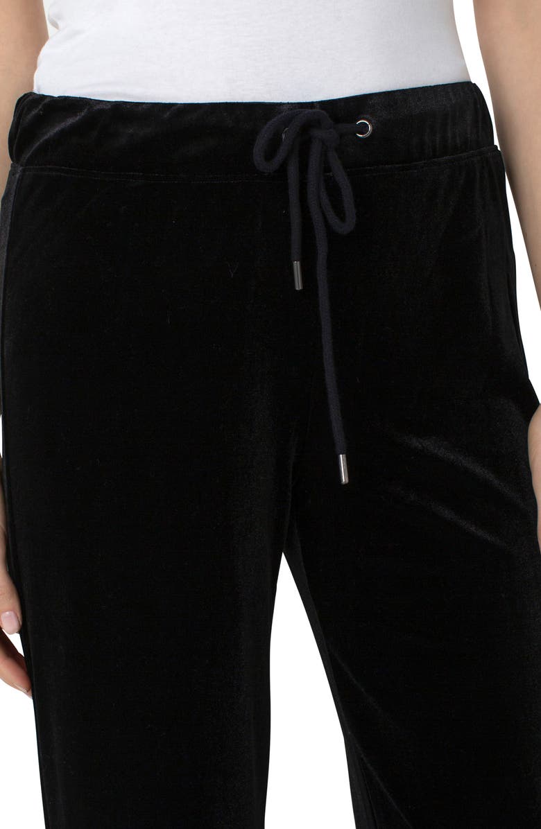 Liverpool Los Angeles Wide Leg Velvet Pants, Alternate, color, 