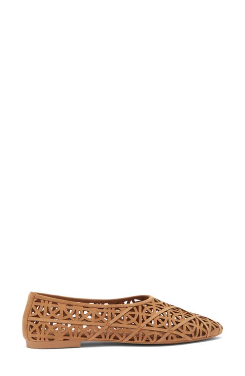 Jeffrey Campbell Skylark Flat In Brown