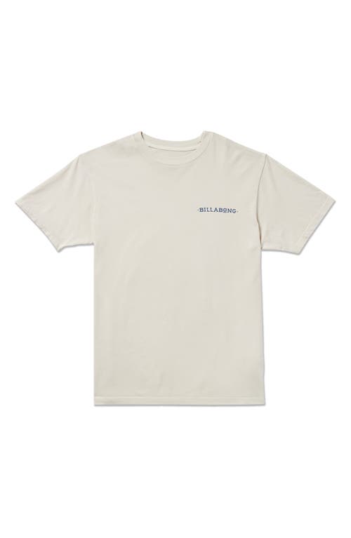 Billabong Praise Haze Graphic T-shirt In Neutral