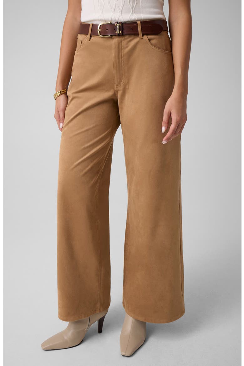 Jennie Faux Suede Wide Leg Pants, Main, color, OPEN BROWN