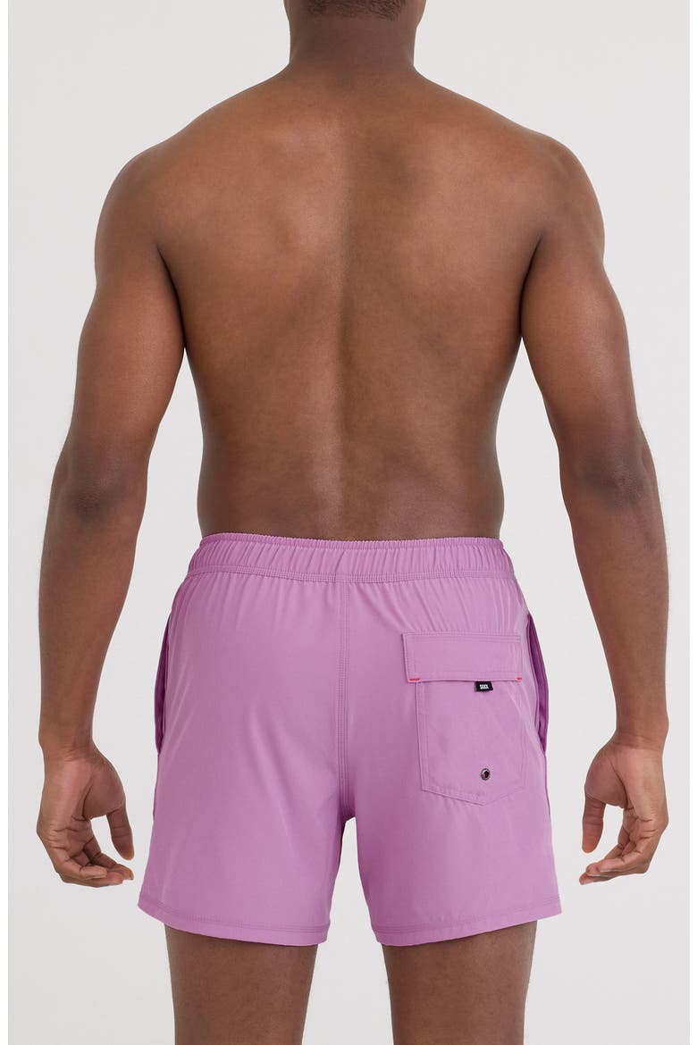 Oh Buoy 2N1 5-Inch Volley Swim Trunks, Alternate, color, DUSTY LAVENDER