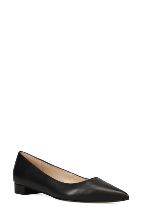 Pelle Moda Aaila Pointed Toe Flat In Black