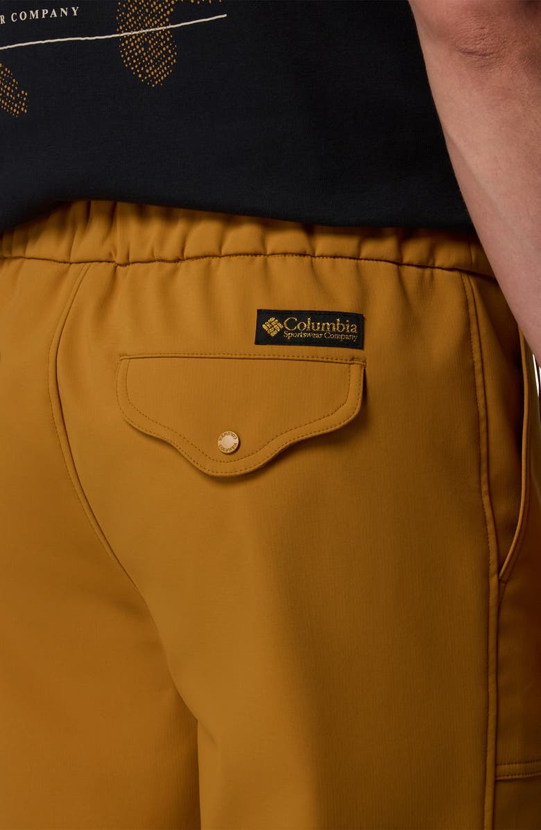 Columbia High Cascades Water Repellent Pants, Alternate, color, Maple Sugar