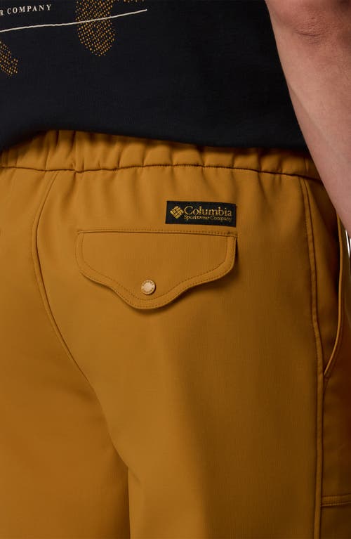 Columbia High Cascades Water Repellent Pants In Brown