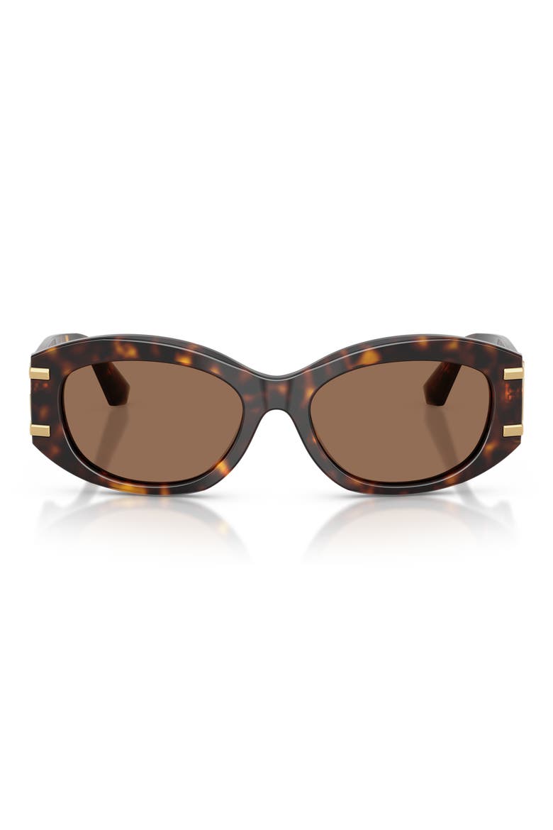 55mm Oval Sunglasses, Main, color, HAVANA / DARK BROWN