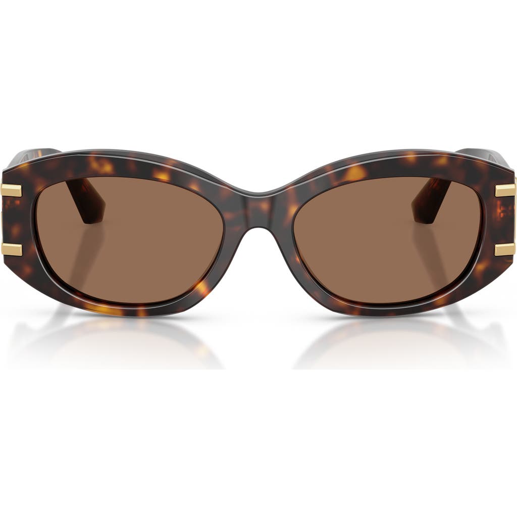 Dolce & Gabbana Dg Logo-plaque Sunglasses In Havana/dark Brown
