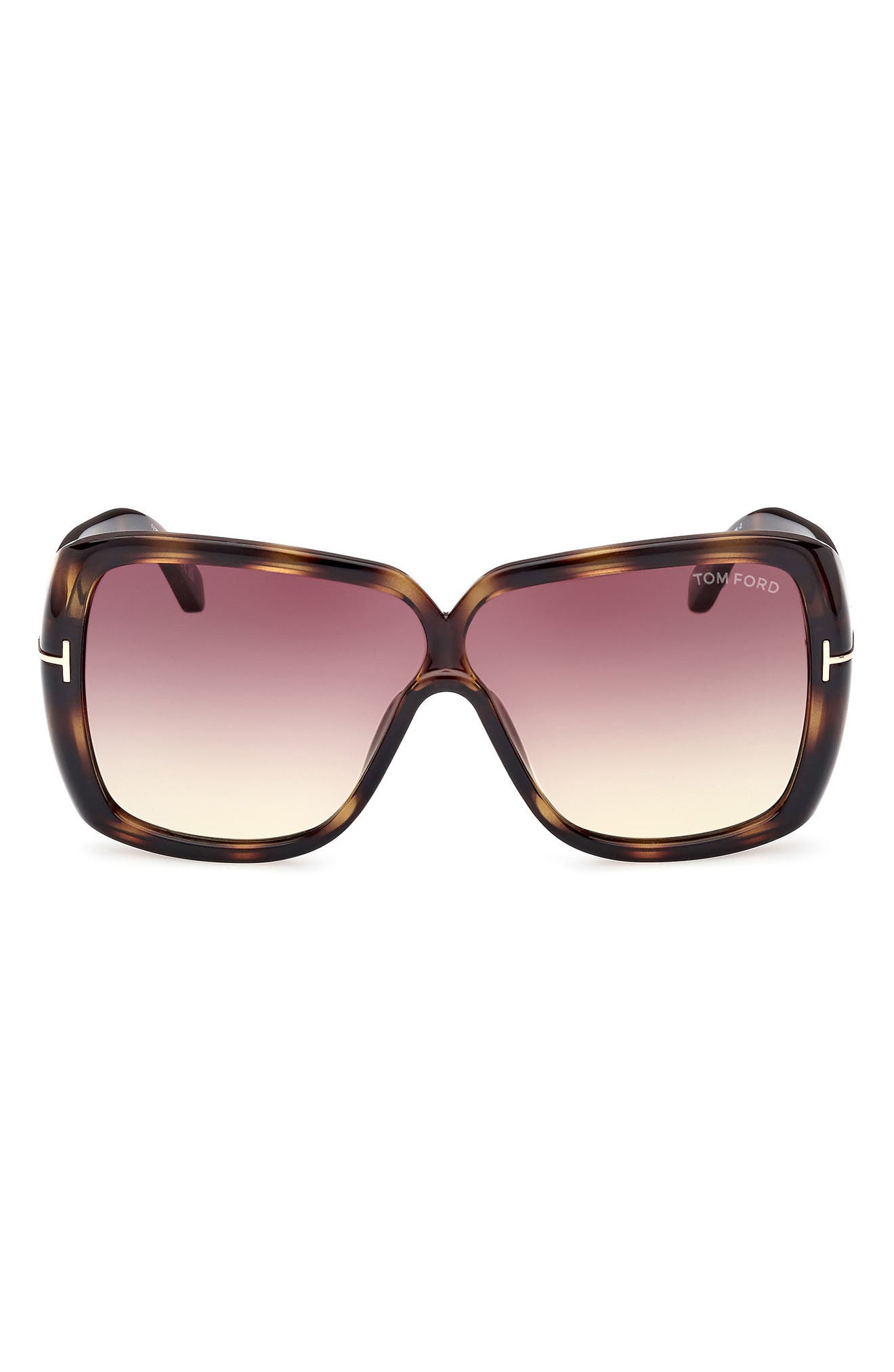 TOM FORD 61mm Geometric Sunglasses